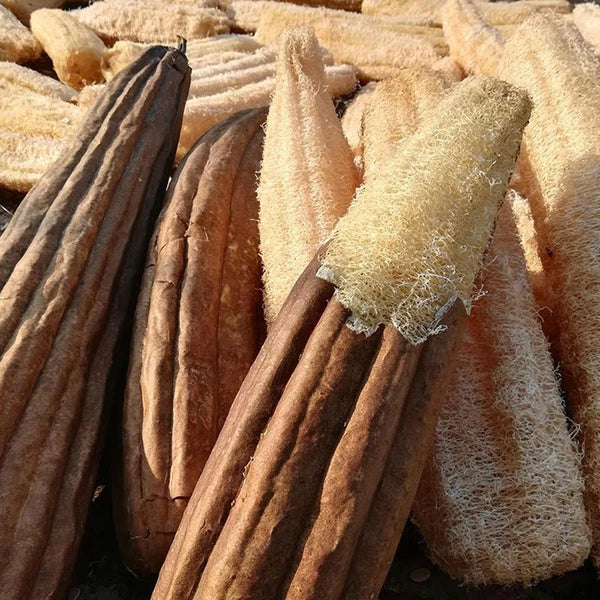 Bath Loofah Loofah Sponge Body Pouf For Shower Cleaning Brush Natural Body