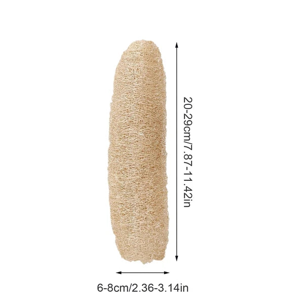 Shower Loofah Natural Loofah Sponges Pack Of 3, For Kitchen Dishes Scrubber